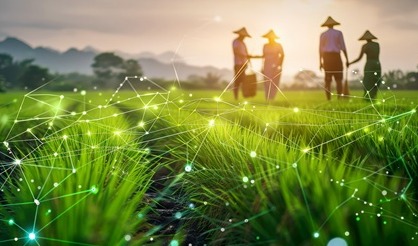 Vietnam’s nascent but rapid digital transformation