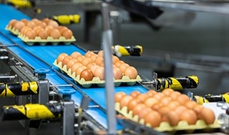 Leibinger: 10 things egg producers need to know about egg printing