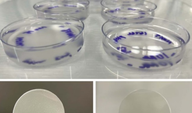 Gum tragacanth: Plant-based alternative to gelatin