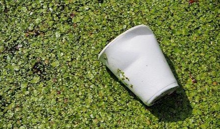 10 倍阻氧性 + 植物基！Avantium 公布 PEF 产能数据，引爆万亿绿色材料市场