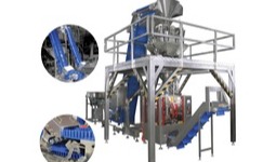 Turnkey solutions for frozen products