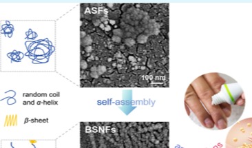 Re-understanding silk aggregates as bioactive agents