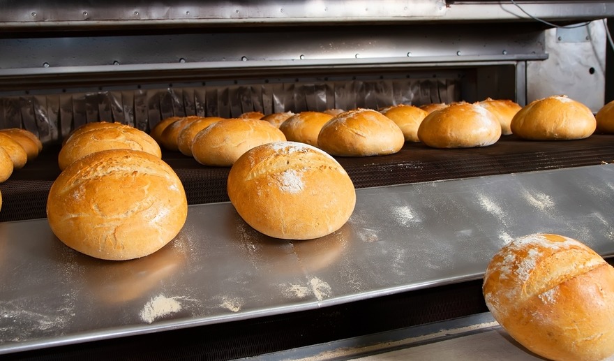 Optimize your bakery with precision ingredients and smart solutions
