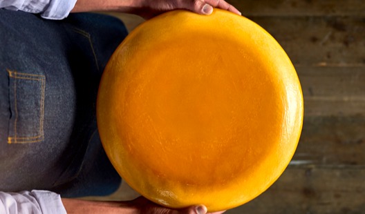 IFF's culture for semi-hard cheese production helps cut use of water, energy