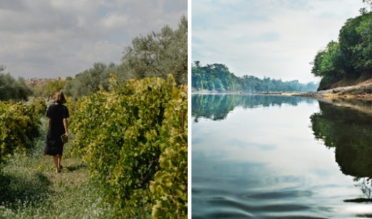Givaudan secures CDP A for supplier engagement on climate