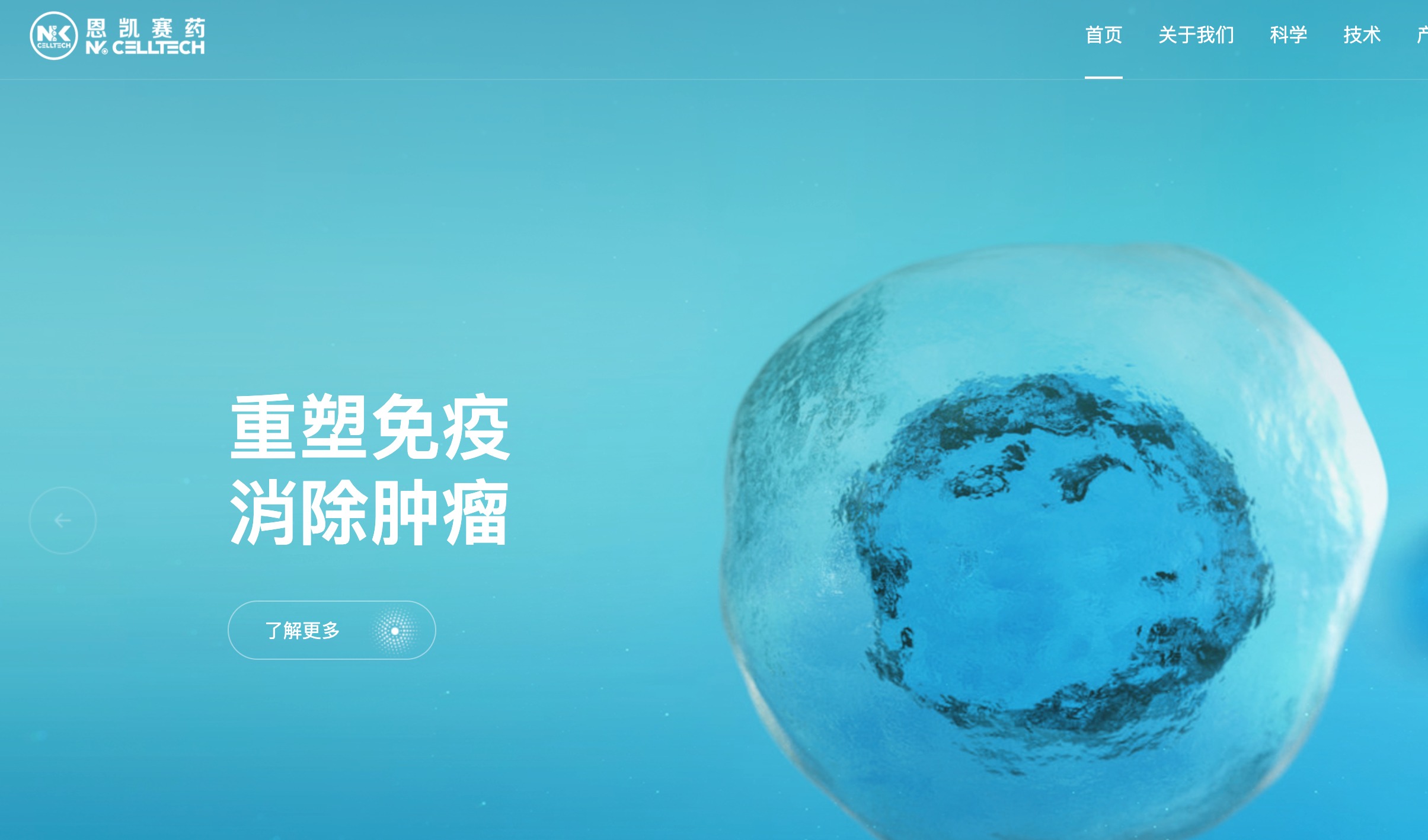 恩凯赛药完成近亿元融资，加速推进NK细胞临床管线落地