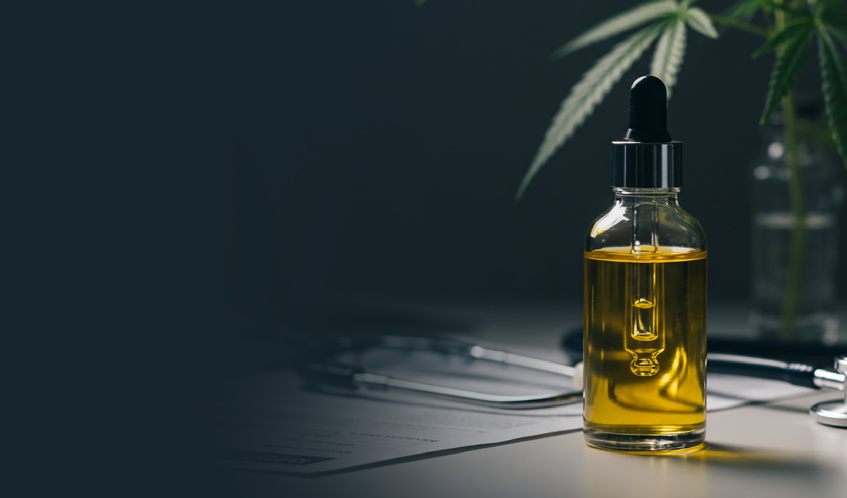 美国FDA研究揭示CBD 肝脏安全隐患，欧洲监管收紧升级