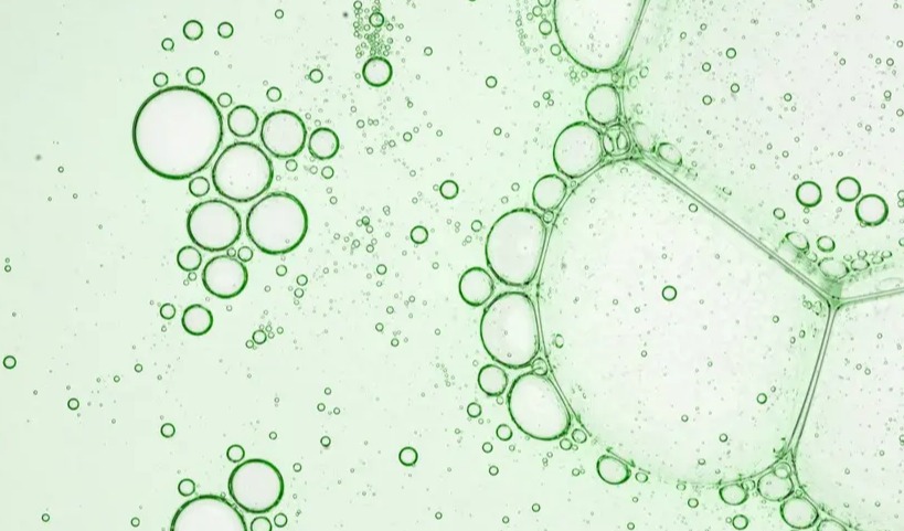 IFF 推出 ENVIROCAP 香氛胶囊技术，聚焦织物护理的可持续升级