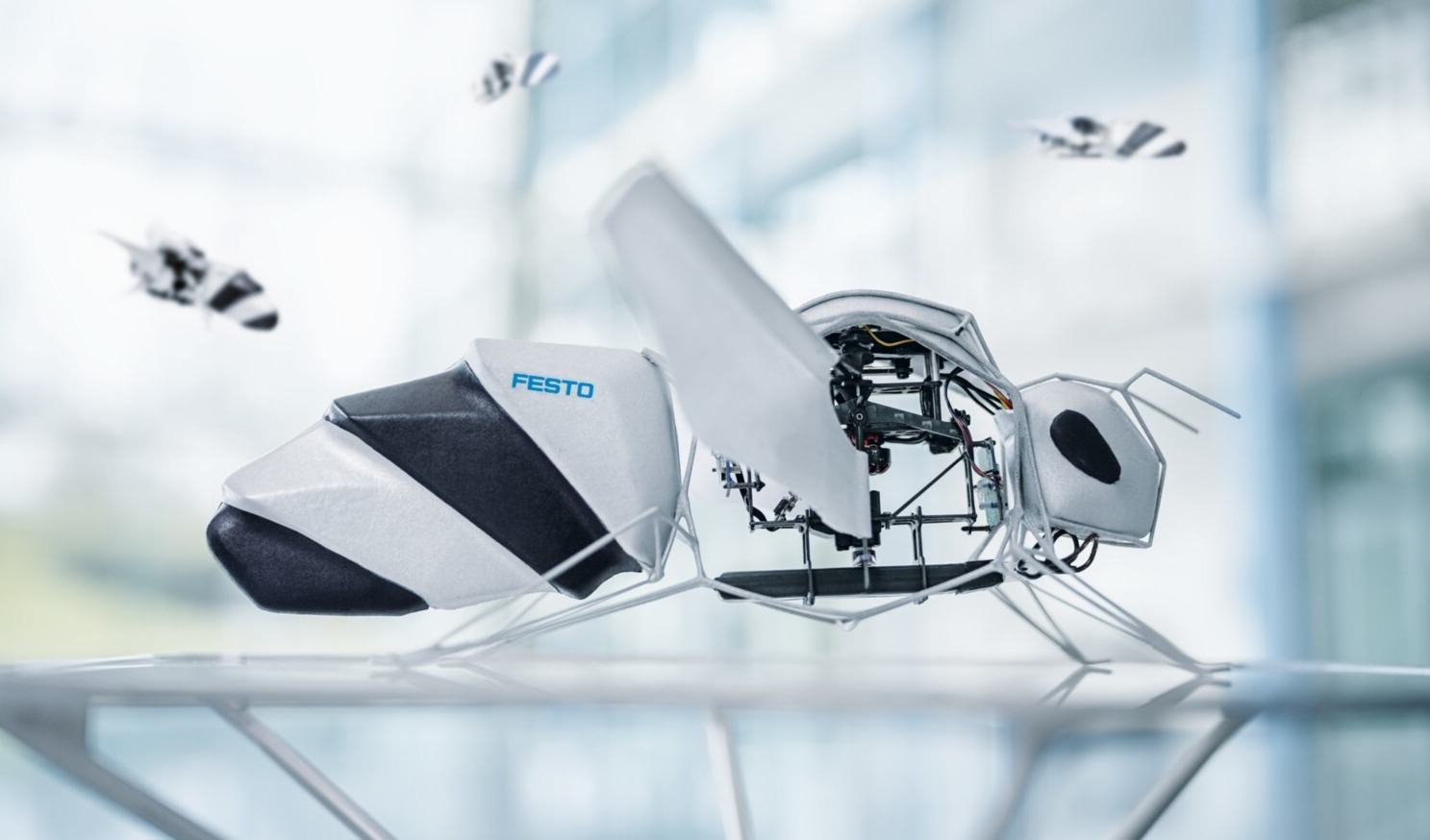 Festo 携全新仿生蜜蜂亮相2025世界机器人大会带来亚洲首秀