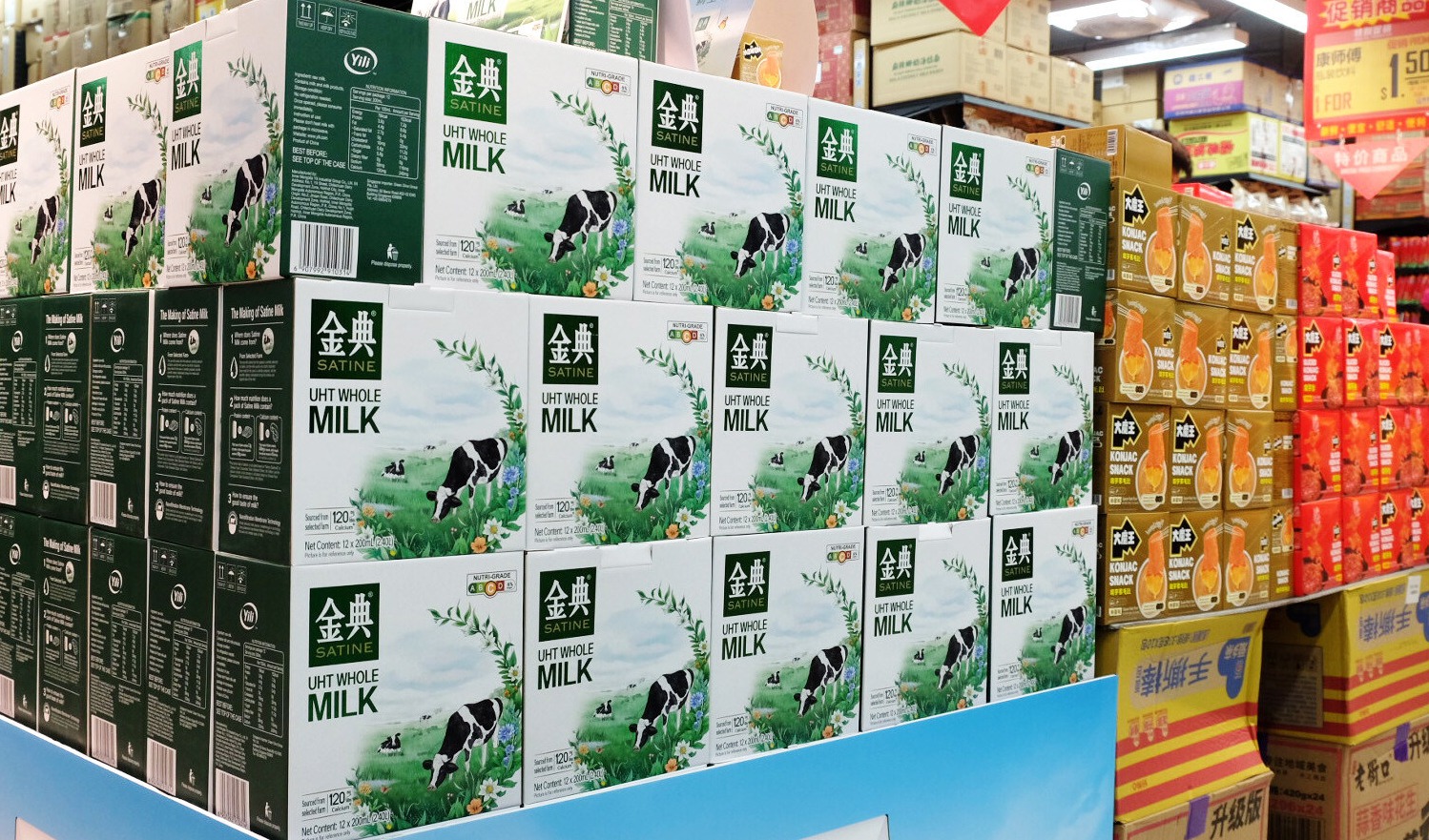 Yili’s premium milk Satine debuts in Singapore