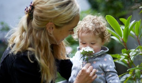 Healthy growth and immunity top mothers’ infant formula wish list