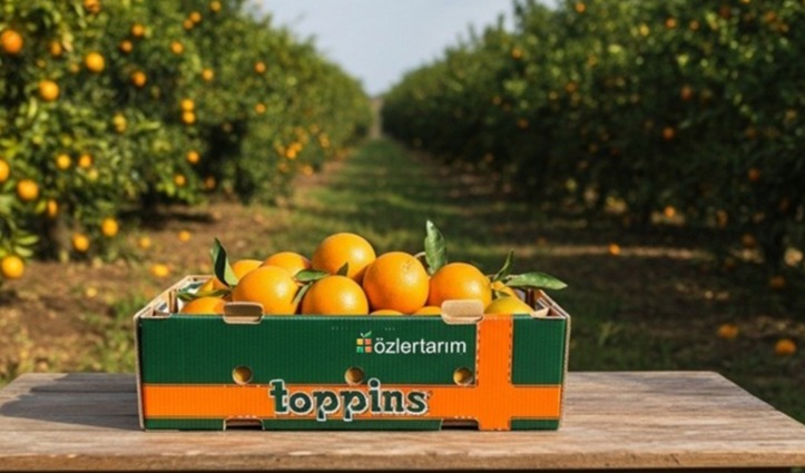 Mondi supports Özler Tarım reduce food waste in long distance shipments