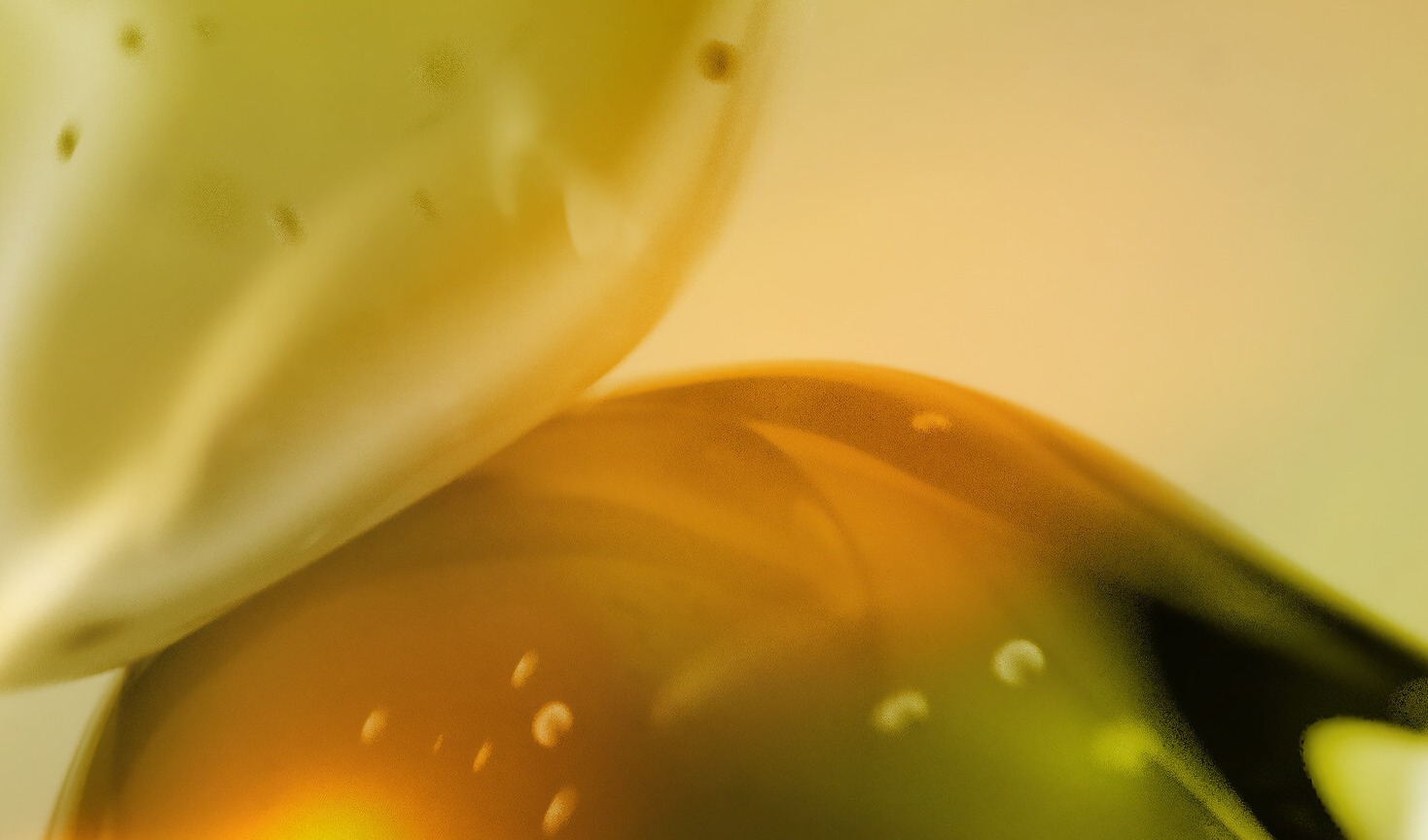 Eurofragance introduces proprietary perfumery ingredient