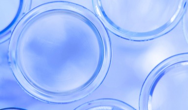 IFF and BASF to collaborate on enzyme and polymer innovation