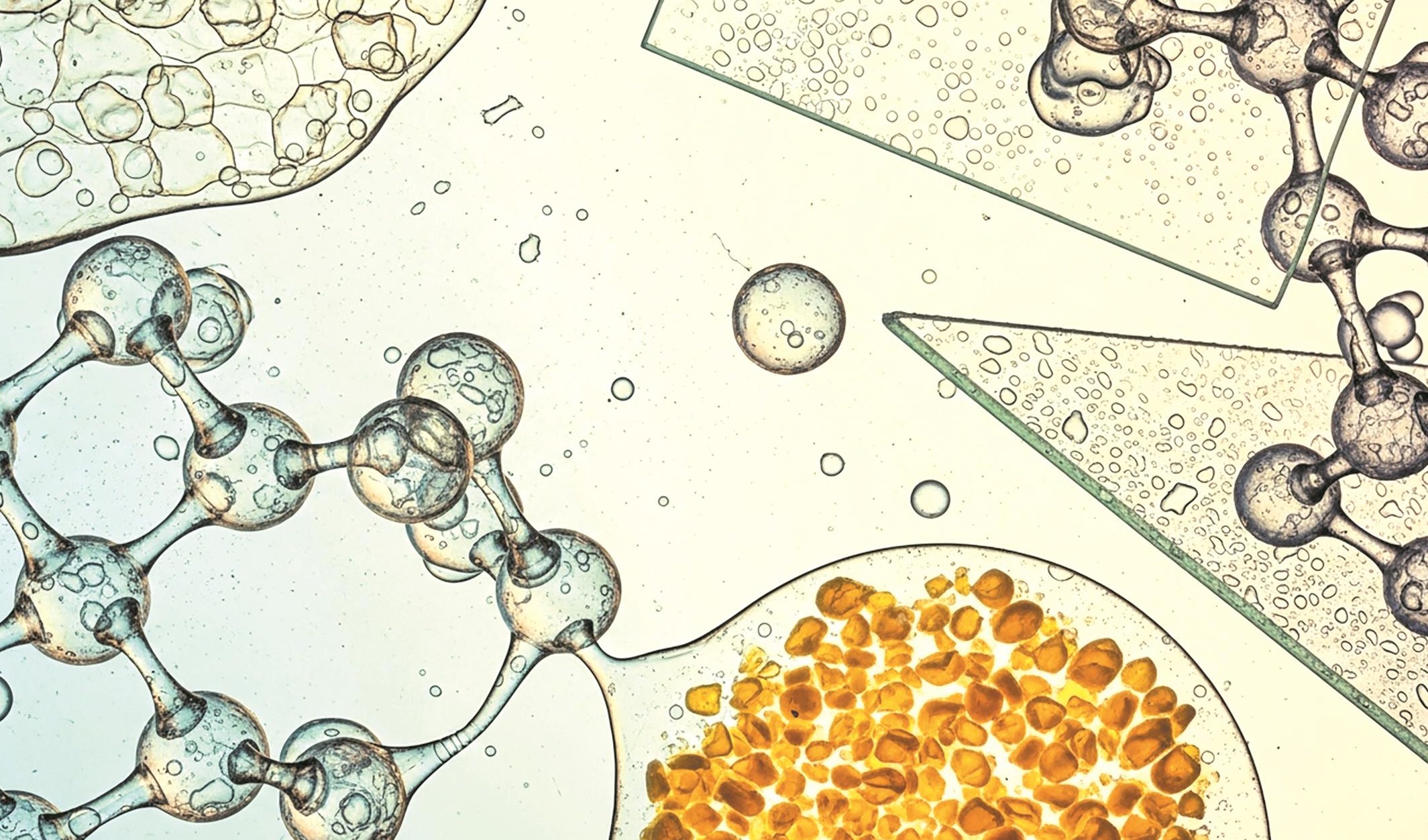 SEPAWA 2025 透露出哪些家清与护美妆的配方新逻辑 ？