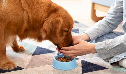 宠物保健食品行业深度报告：2027年将迎爆发增长，市场规模突破15亿元