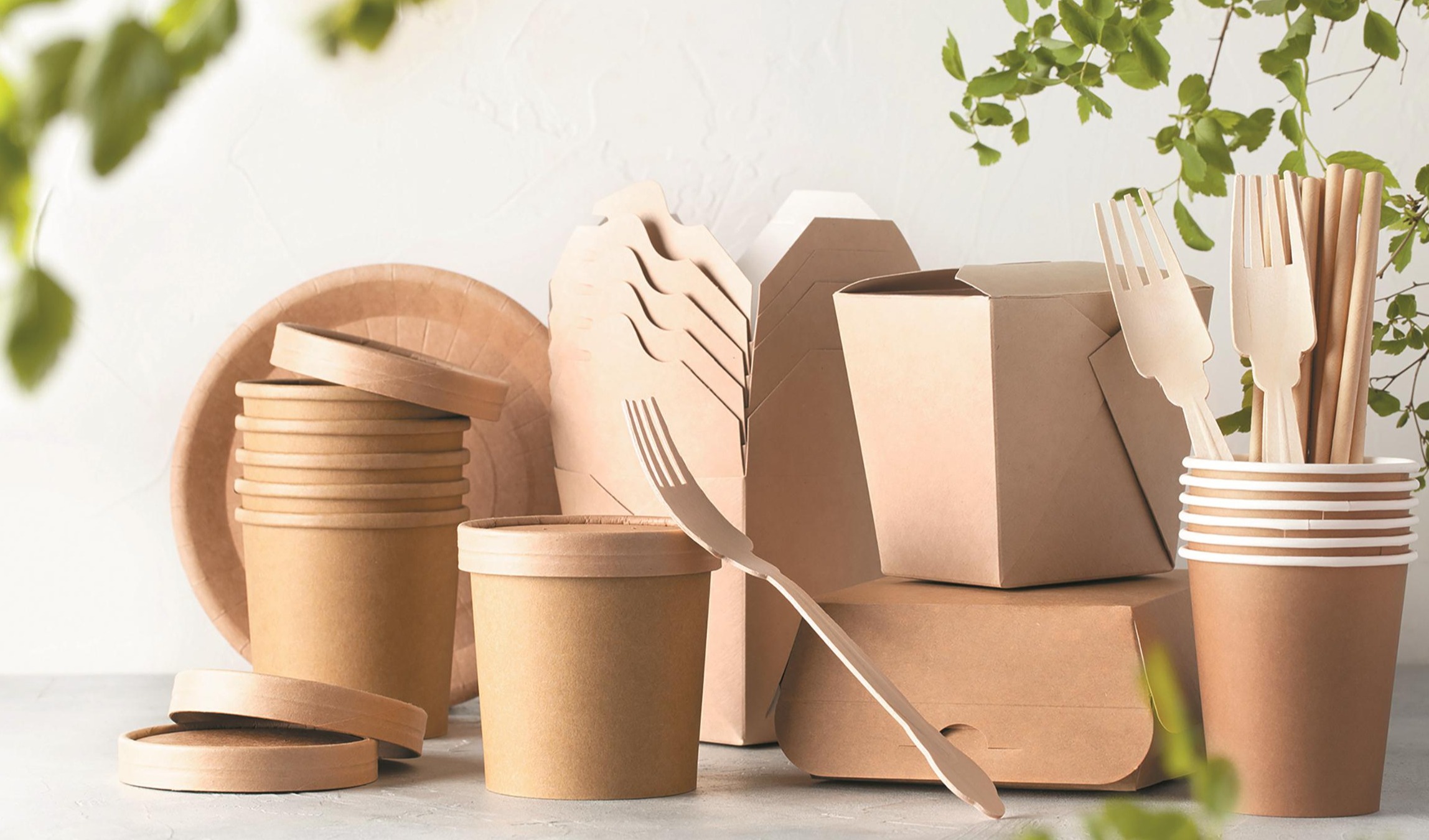 新国标《食品接触材料及制品用涂料及涂层》解读和指导