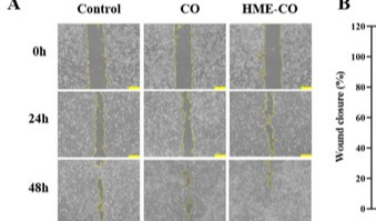韩国团队以热熔挤出提升阿魏酸含量，开启可持续美白方案