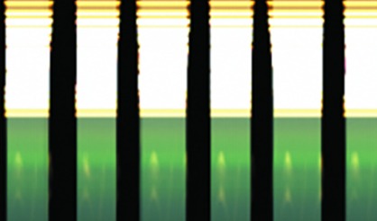 基于光谱的番茄含糖量无损检测方法