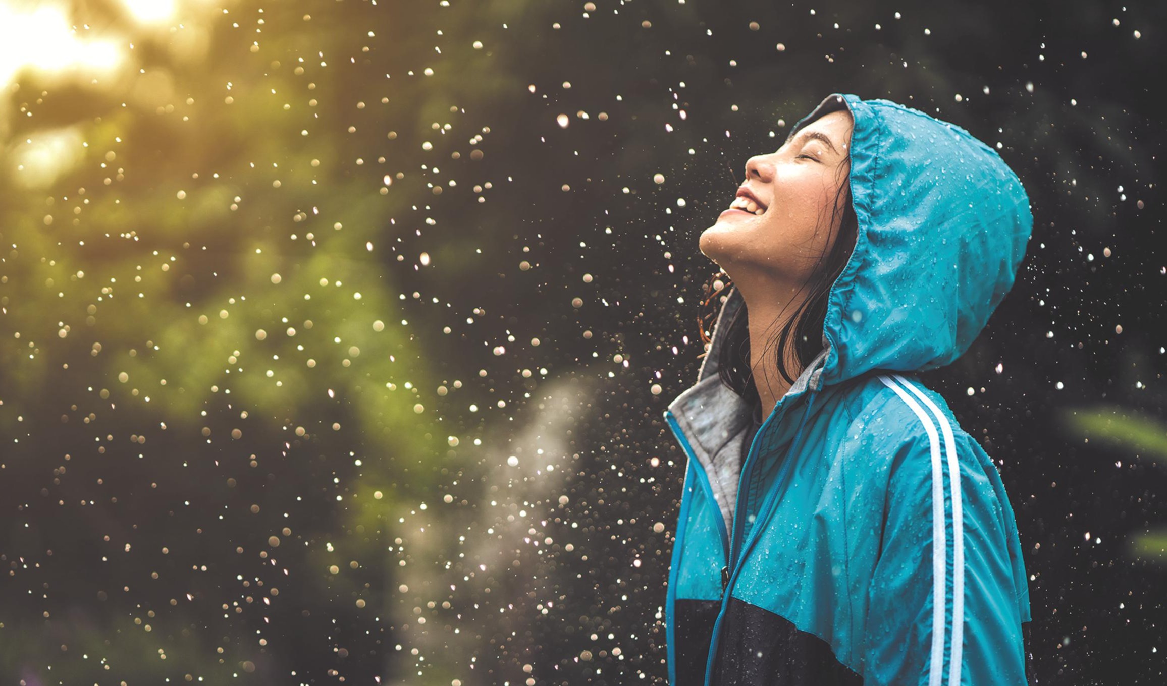 食物与情绪： 饮食如何影响我们的感受