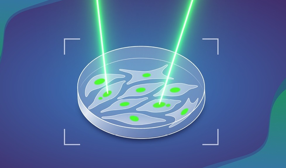 激光标记驱动单细胞研究,AI平台为癌症预防提供新路径