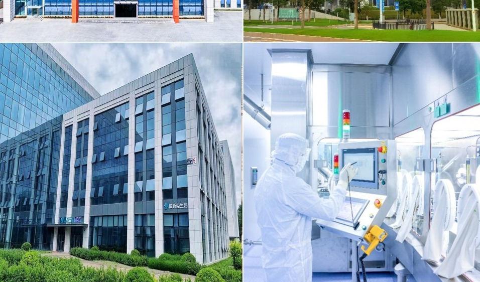 我国首款治疗性痤疮疫苗获批临床,"青春痘"防治迎来新纪元