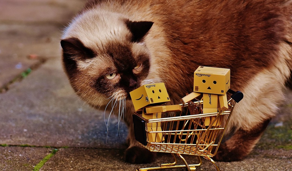 跨界者入局宠物经济的落子棋局：靠什么？能走多远？