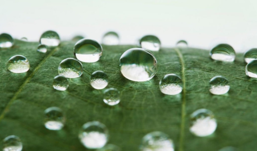 Chinacoat 2025: 瓦克重磅发布有机硅涂料整体解决方案