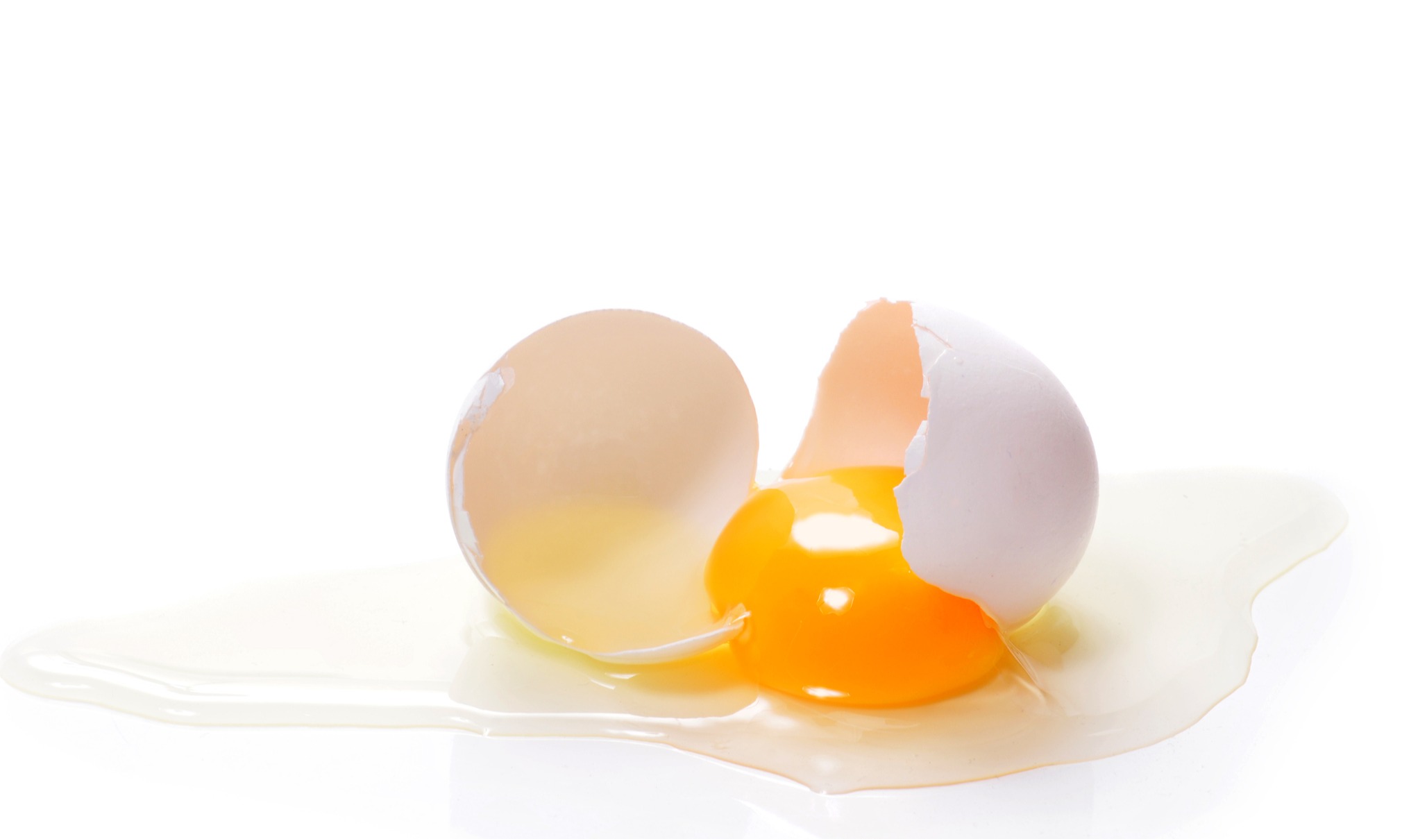 Top tips for processing egg products - HRS Heat Exchangers