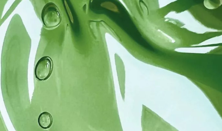 Jungbunzlauer's gellan gum delivers crystal-clear gels with very high gel strength