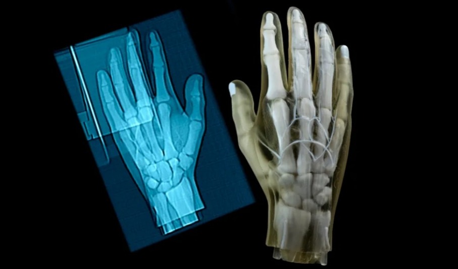 Stratasys新推放射性显影3D打印技术，颠覆传统医学影像训练