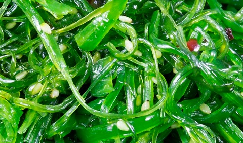 Algae product market growing steadily, Asia Pacific shows highest CAGR