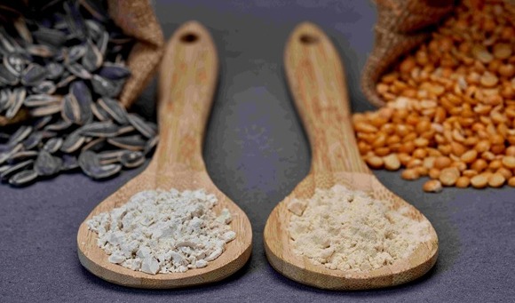 Q&A: Exploring Burcon’s plant-based cheese proteins