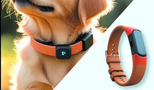 宠物追踪新纪元: TPE 材料引领智能穿戴的舒适性与可持续革新