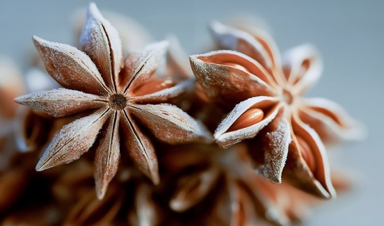 dsm-firmenich names ‘Frosted Star Anise’ as Flavor of the Year 2026
