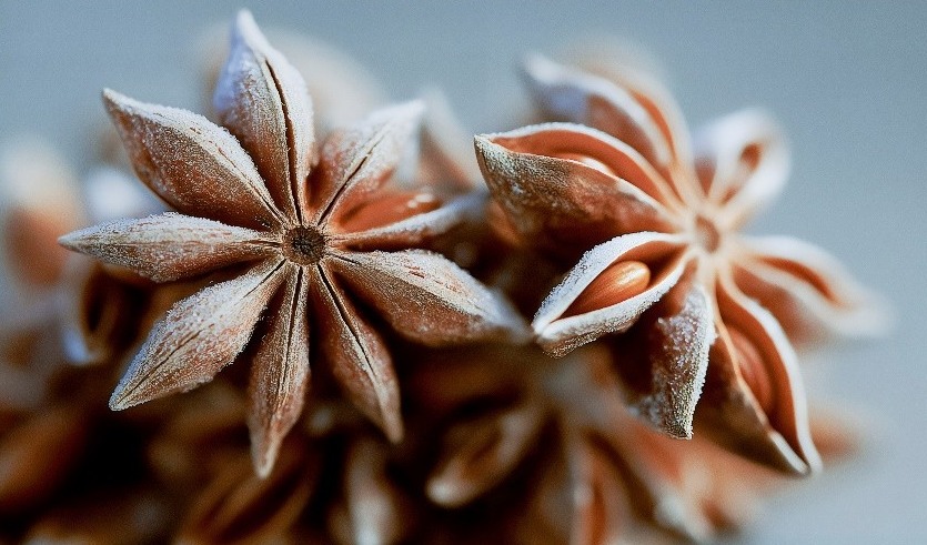 帝斯曼-芬美意发布2026年度感官趋势，推出年度同名系列香氛与年度风味“凛霜八角”