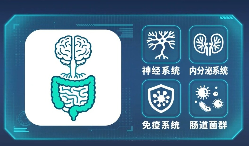 开启你的"肠"归作息,养乐多探寻优质睡眠的活力密码