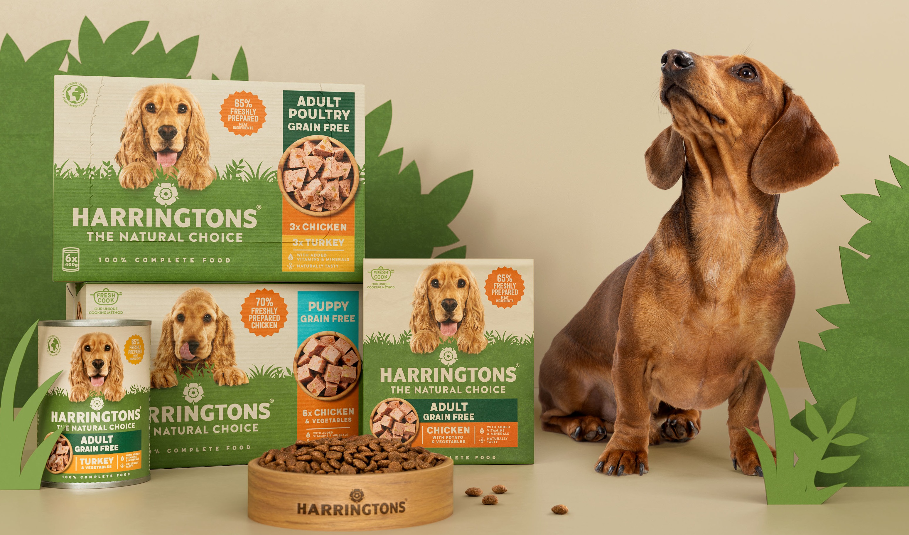 价差3-4倍,宠物食品和药品价格为何居高不下?