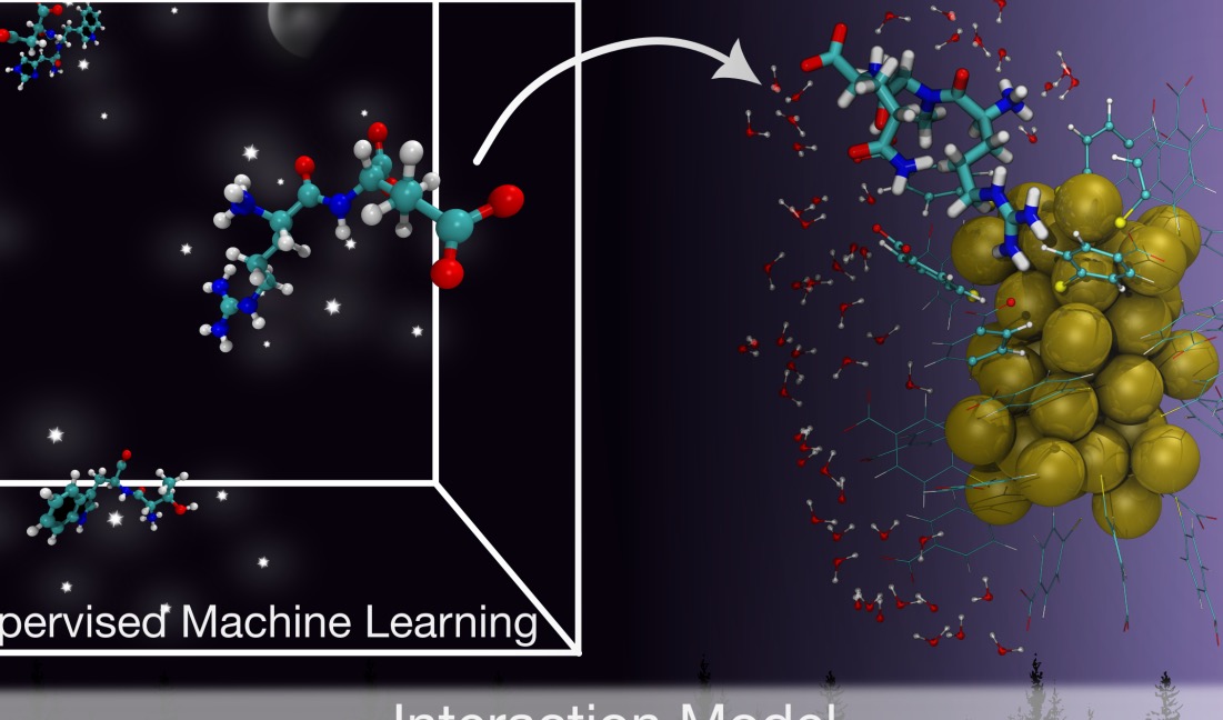 机器学习正改变金纳米簇的生物医学设计方式