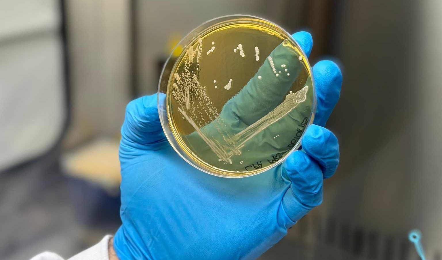 意大利透明质酸原料商诺尔米Roelmi HPC成立生物技术子公司，正式进军精准生物发酵领域