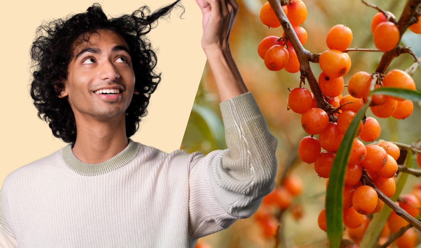 巴斯夫推出天然来源肽类生发成分Aloversil及可生物降解调理剂Dehyquart S18