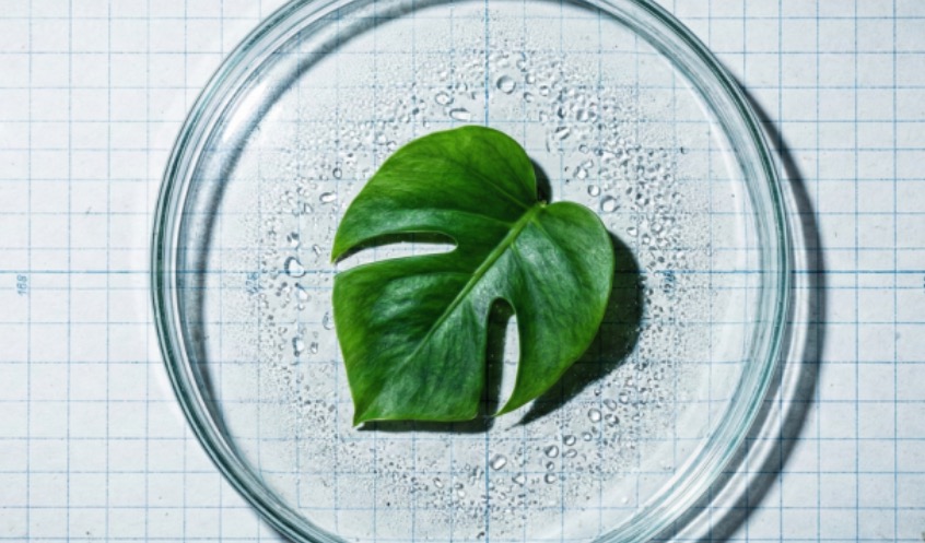 ESG不是加分项,而是「归位」|专访荣格技术创新奖ESG评委王茁