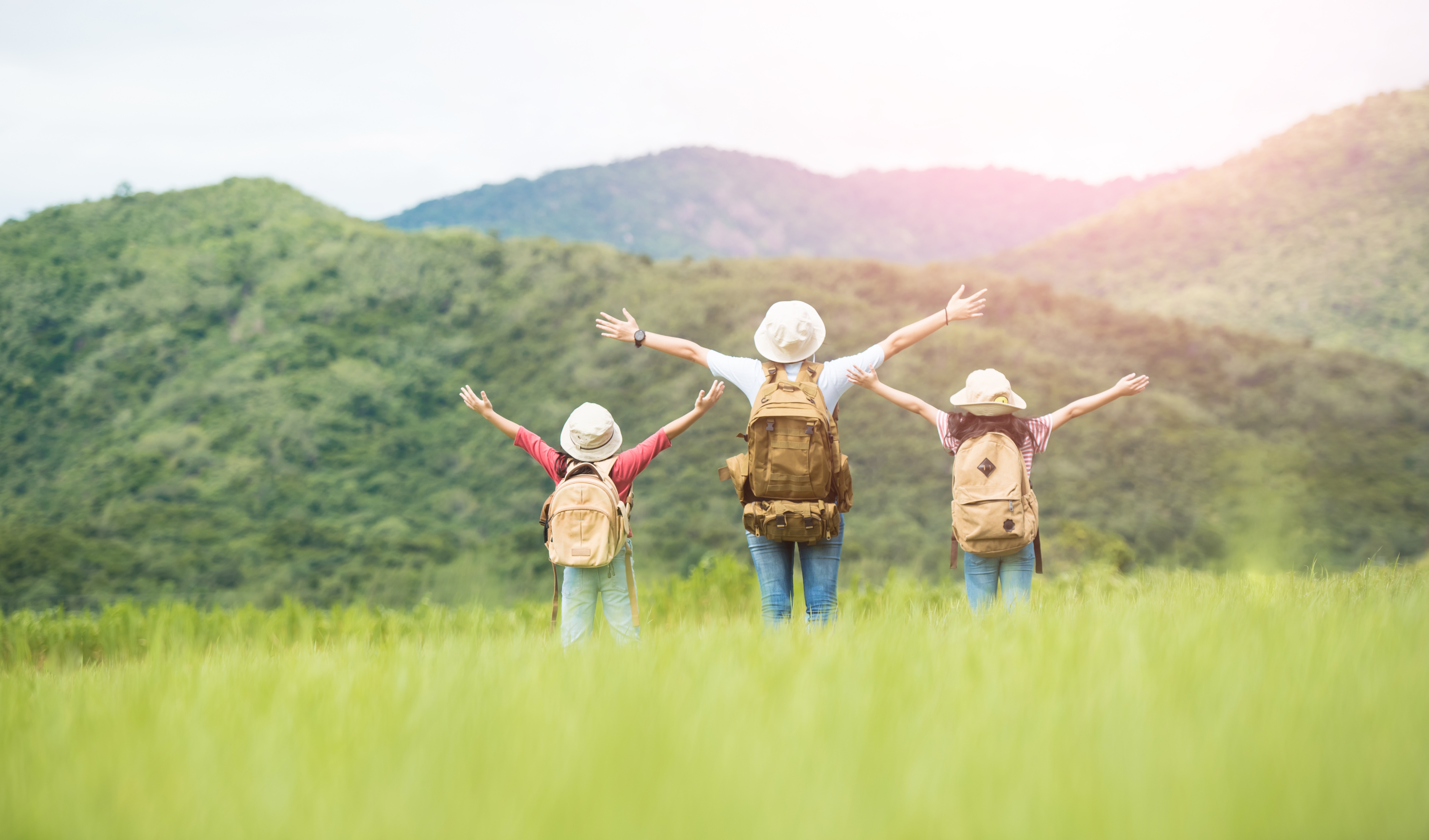 巴斯夫近零 SVOC 乳液创新再次定义室内涂料环保健康要求