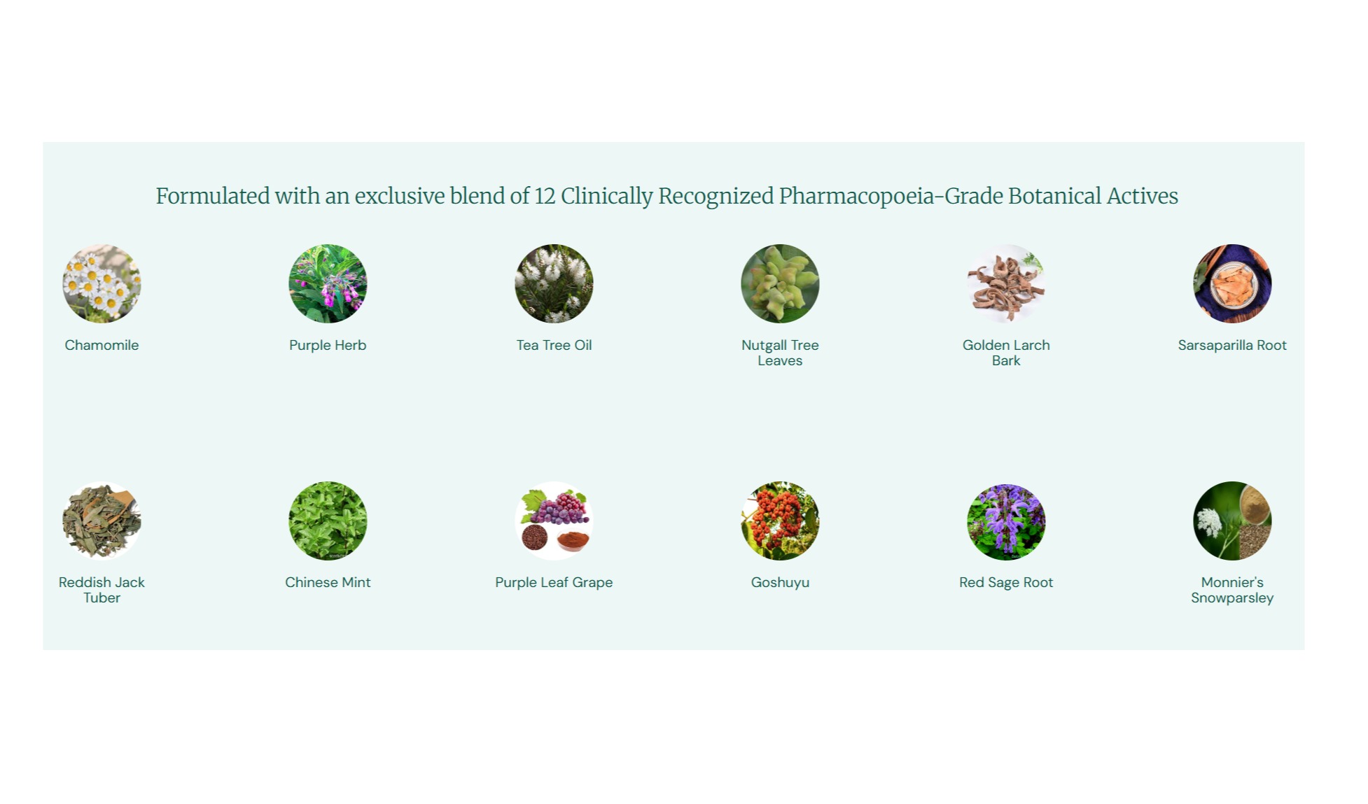 Non-steroidal eczema relief formulated with pharmacopoeia-grade botanicals