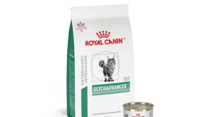 皇家推出GLYCOADVANCED™创新治疗粮，守护超重糖尿病猫健康