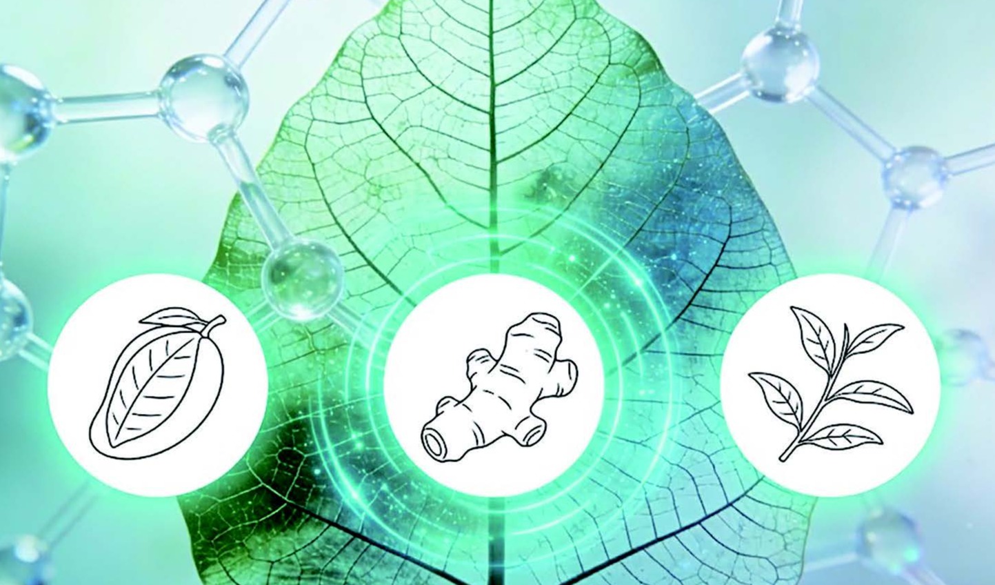 配方趋势｜摆脱咖啡因依赖：下一代能量成分如何平衡功效、安全与体验？