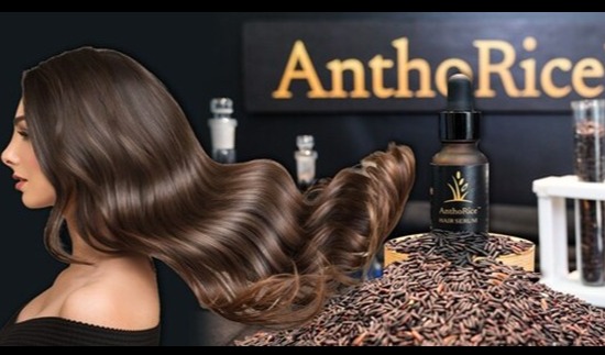 Thai scientific breakthrough targets hair loss, premature graying