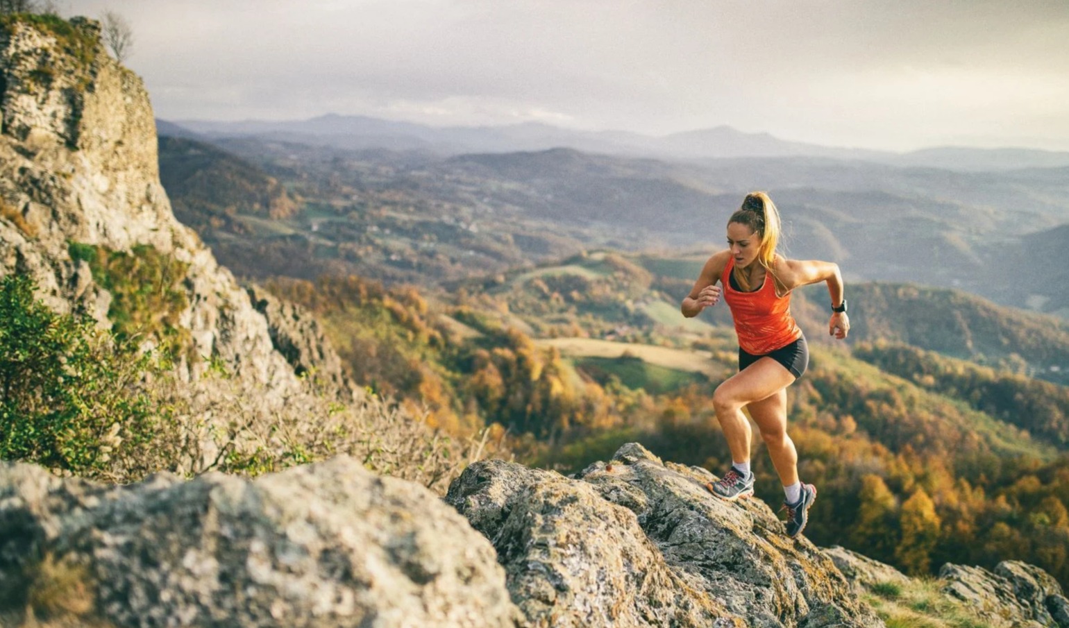 Bioiberica’s Native Type II Collagen honored with 2025 Frost & Sullivan Innovation Award