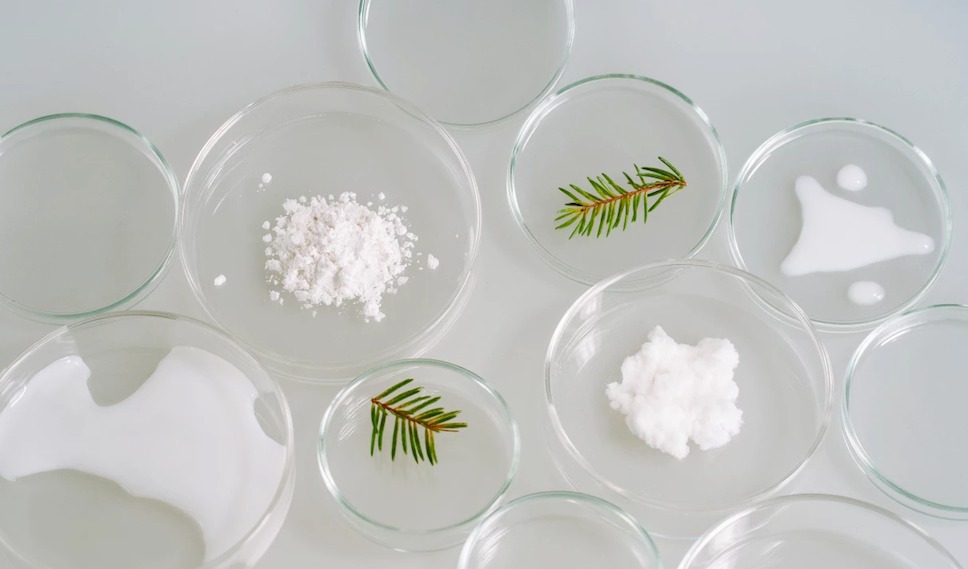 Seprify与Grolman集团建立合作,将纤维素化妆品原料引入欧洲市场