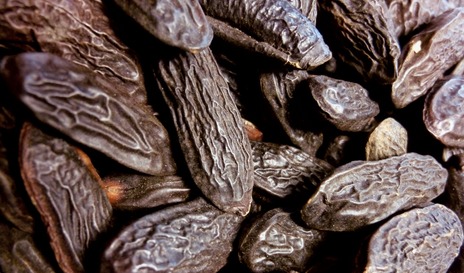 LMR unveils sustainable tonka bean extract for fragrances